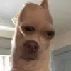 Jamie - @jamie_noee - TikTok