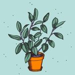 Jamie Northrup - @ellisett - Instagram
