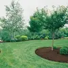 jamieogg622 - @jamieogg622 - TikTok