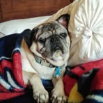 Jamie Olson - Facebook