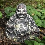 Jamie Olson - @sturdyrooted1 - Instagram