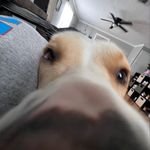 Jamie Burrow - @jamieonosu - Instagram