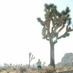 Jamie C Orange - @jamie.anderson.56 - Instagram