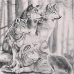 Jamie Ormsby - @ormsby2119 - Instagram
