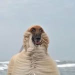 Jamie Packerman - @jamie._.packerman - Instagram