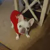 jamiepahl992 - @jamiepahl992 - TikTok