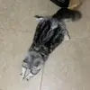 Jamie Pak - @jamie.pak7 - TikTok