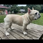 Yuzo Mitani - @jamie_sherry_papa - Instagram