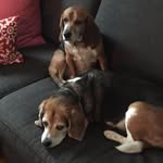 Jamie Parent - @parentjamie - Instagram