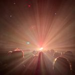 Jamie parnell - @jamieparnell5 - Instagram