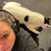 Jamiepea77 - @jamiepea77 - TikTok