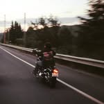 Jamie Pelletier - @jamie.pelletier.399 - Instagram