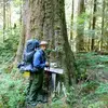 Jamie Perryman - @jamie.perryman - TikTok