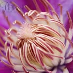 Jamie Philbrook - Facebook