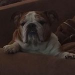 Jamie Pilon - @jamie_2025 - Instagram