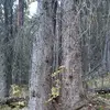 jamiepitcher919 - @jamiepitcher919 - TikTok