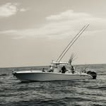 Jamie Polk - @lowcountryhunter87 - Instagram