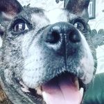 @jamie___pooler_backup - Instagram