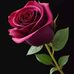 Jimmy Pauner - Facebook