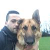 Jamie Pound Dog Training - @jamie_pound - TikTok
