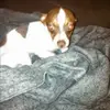 Jamie Pulliam875 - @jamiepulliam875 - TikTok