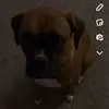 Jamie Pyle - @jamie.pyle - TikTok