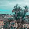 Jamie Pyle - @jamiepylee - TikTok