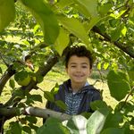 Jamie Harrison Rathbone - @jamie.rathbone - Instagram