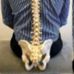 Jamie Rose Registered Osteopath - Facebook