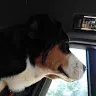 Jamie Reiser 1234 - @jamiereiser - TikTok