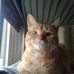 Jamie Riddle - Facebook