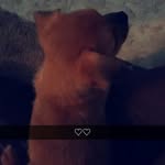 Jamie21 - @jamie.romero24 - Instagram