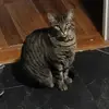 Jamie Romero - @jamie.romero - TikTok