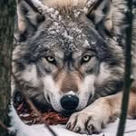 Jamie Root - @jroot184 - Instagram