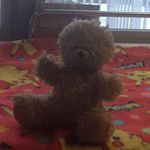 Jamie Roush - @rgs.trans.notary - Instagram