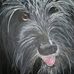 Jamie Royer - Facebook