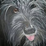 Jamie Royer - @jroyer2010 - Instagram