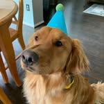 Jamie Rucker Cocke - @rusty_the_regal - Instagram