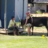 jamierupert6 - @jamierupert6 - TikTok