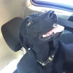 Jamie Samples - @samples.jamie - Instagram