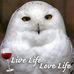 Jamie Sandusky - Facebook