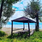 Jamie Sauer - @jamiesauer32 - Instagram