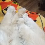 Jamie Schafer - @jamieschafer48 - Instagram