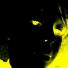 Jamie Schafer - @jamieschafer4 - TikTok