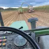 Jamie Schäfer - @jamie.schfer - TikTok
