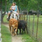 Jamie Schilling - @lucky_13_tack - Instagram
