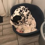 Jamie Self - @jamieself95 - Instagram