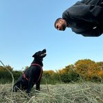 jamies - @jamieshipman - Instagram