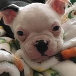 Jamie Shoemaker - @jwshoe01 - Instagram