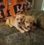 Jamie Sigmund - Facebook